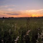 Great Oak RV Resort