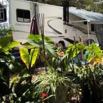Anclote Village RV Park