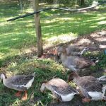Lake View Rv Park