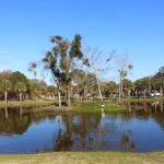 East Lake Fish Camp
