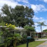Dunedin Village