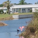 Lake Region Village