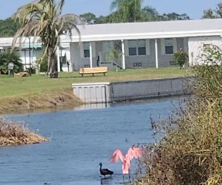 Lake Region Village