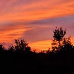 East Haven RV Park