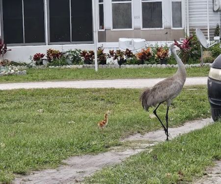 Peace Creek RV Park