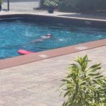 Palm Bay Estates