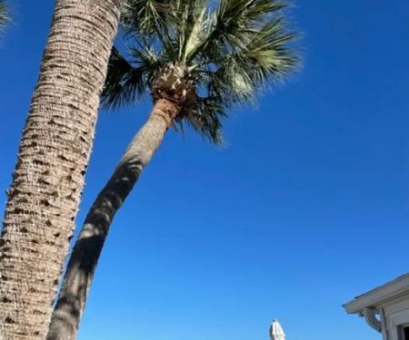 Pelican's Landing Resort of Sebastian