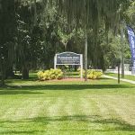 Plantation Oaks