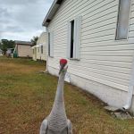 Golden Ponds Manufactured Home Community