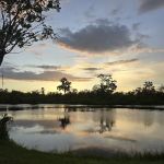 Oak Haven Park LLC