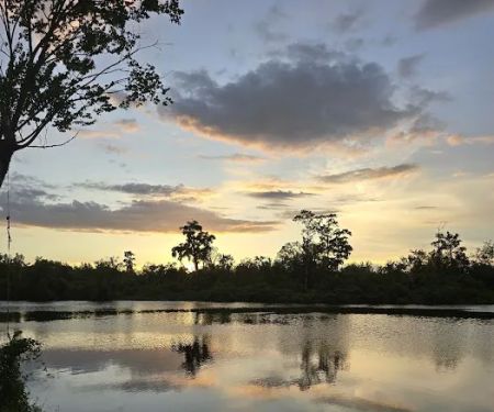 Oak Haven Park LLC