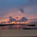 Gulf Cove Inc