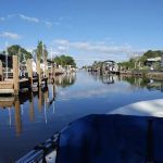 Pine Island Cove