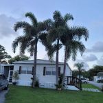 East Pine Ridge