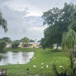 University Lakes
