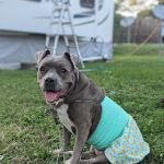 Orems Trailer Park