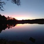 Pineland Park