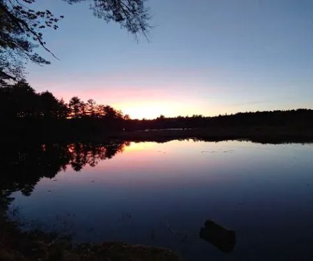 Pineland Park