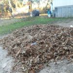 Dogwood Acres