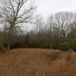 Gypsy Creek RV Park