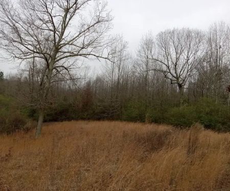 Gypsy Creek RV Park