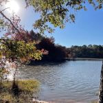 Pataula Storage, Camping, RV Park