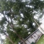 Trailer Park