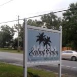 Sabal Palm