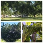Graystone RV Park
