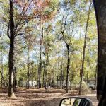 Poll Bayou RV Park