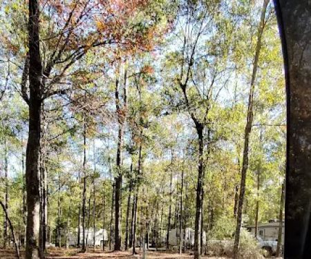 Poll Bayou RV Park