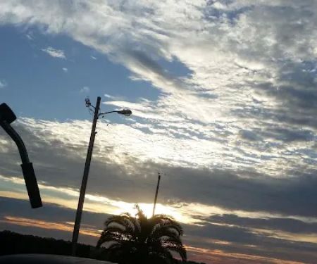 Magnolia Farms RV Park