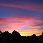 Camellia RV Park