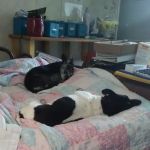 Bates Creek RV Park