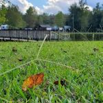 Diamond Lake RV Park