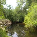 Mill Creek Camp Ground and Secure RV/ Boat Storage