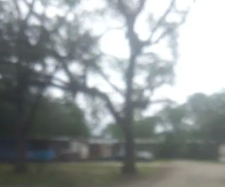 Shady Pines Mobile Home Park