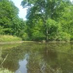 Bardwell RV Park