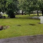 Trailer Park