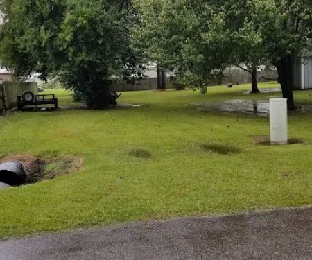 Trailer Park