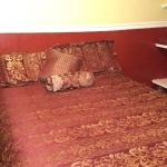 Sugar Hill RV Park