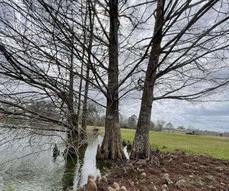 Bayou Black RV Park