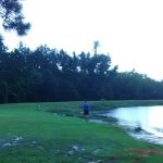 Lil Piney Park