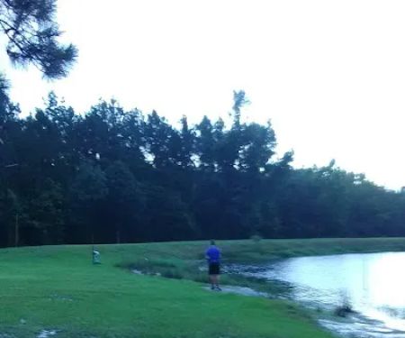 Lil Piney Park