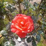 Deer Creek RV Park