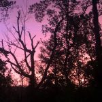 Big Pines Rv Park