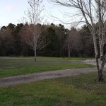 Circle M RV Park