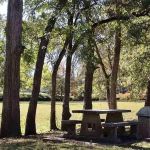 Plantation Acres