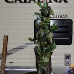 Kountze RV Park