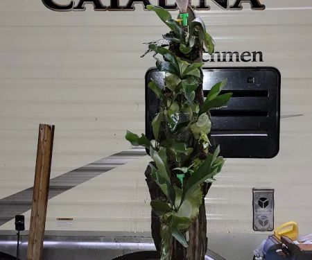 Kountze RV Park